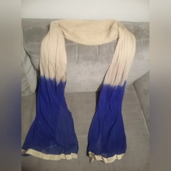 Blue and Gold Trim Ombré Scarf/Dupatta