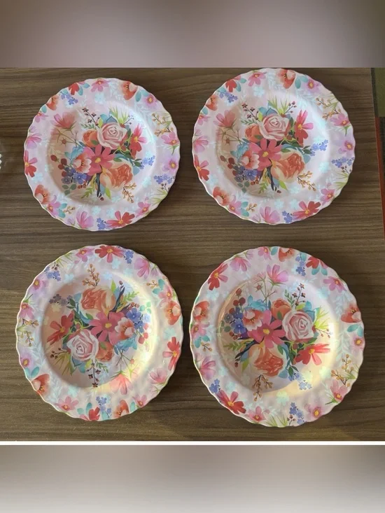 Punch Studio FLORAL  4 Dinner Plates Melmac Melamine Picnic