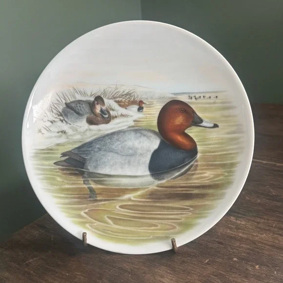 Bavaria‎ JKW Western Germany Red-crested Duck John Gould Porcelain Plate Vintage