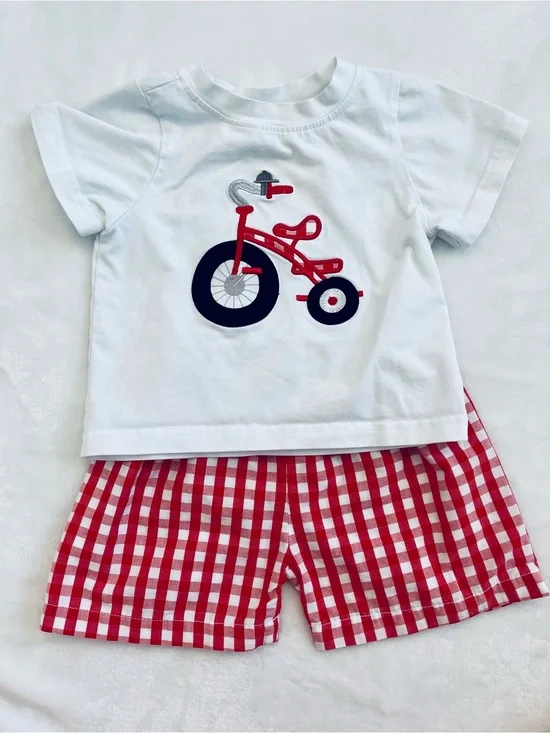 Toddler Boy Tricycle White Tee & Red Gingham Shorts Set (size 12M)