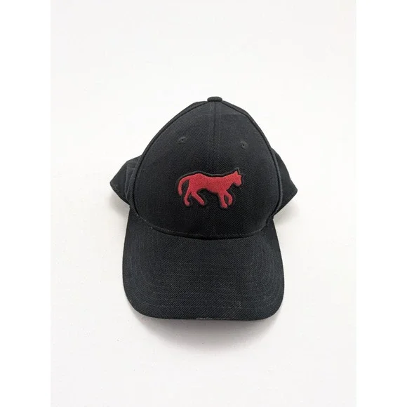Vintage American Needle Detroit Tigers 1901 LOGO Leather Strapback Hat 7.5 Model