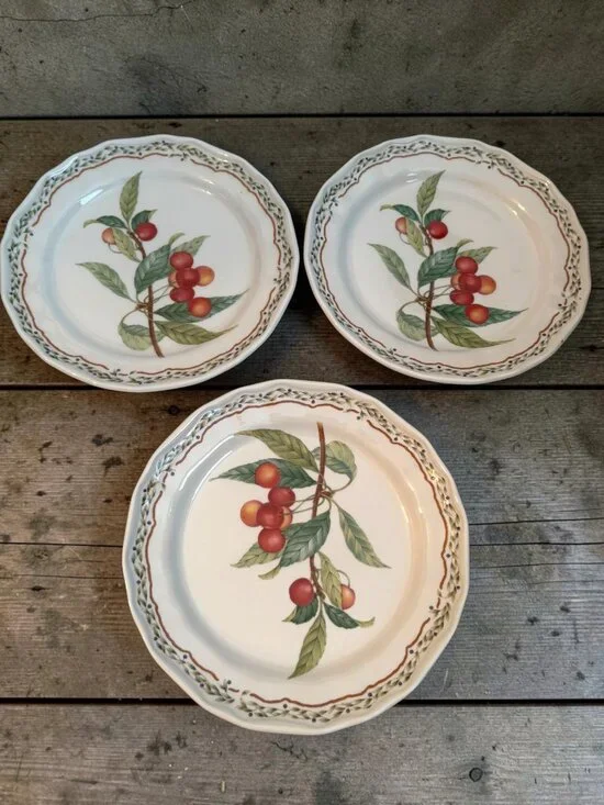Noritake Gourmet Harvest Casual Gourmet Salad Plates 8