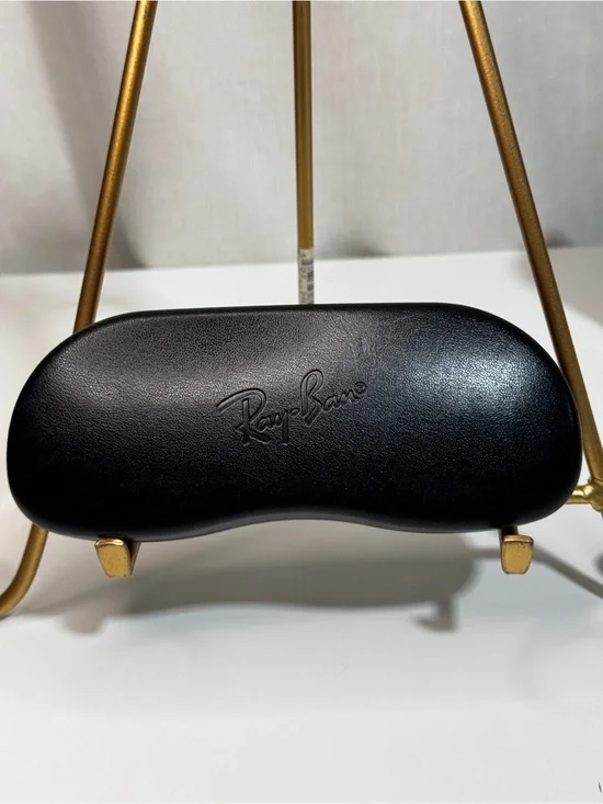 Ray-Ban Black Exterior Gray Felt Lining Interior Sunglasses Hard Case