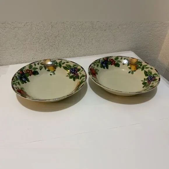 2 Sakura by Oneida Sonoma Excell Soup Coupe Cereal Bowls  Fresh Fruit 8” G12