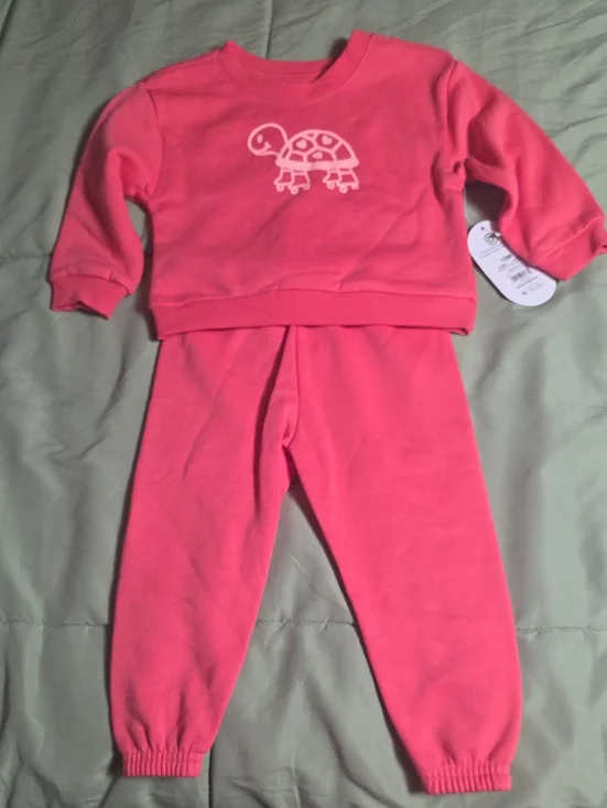 Wonder Nation Pink Turtle Sweatshirt & Pants Matching Set