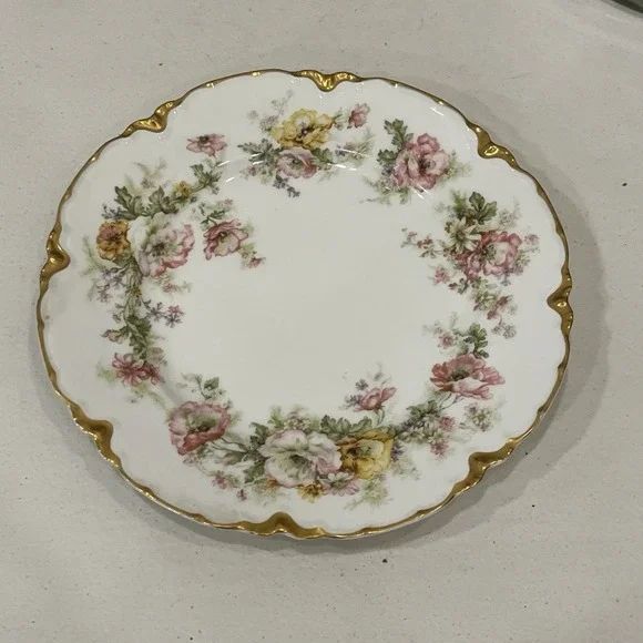 Rare Antique Haviland Limoge 9.5