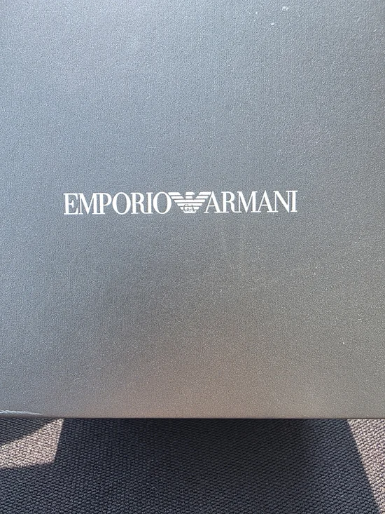 Emporio Armani Silver Stainless Mesh Chronograph Watch (Rear View)