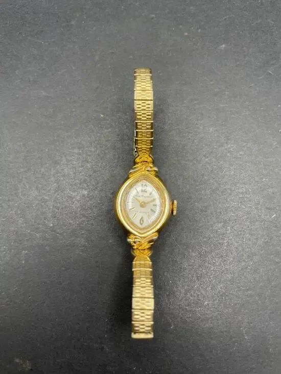 Vintage Paul Raynard 17J Womens Cocktail Watch Gold Tone Expansion Band 17mm