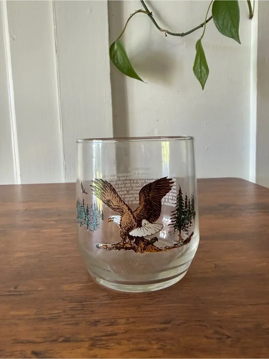 Eagle Glass Tumbler with Forest Scene