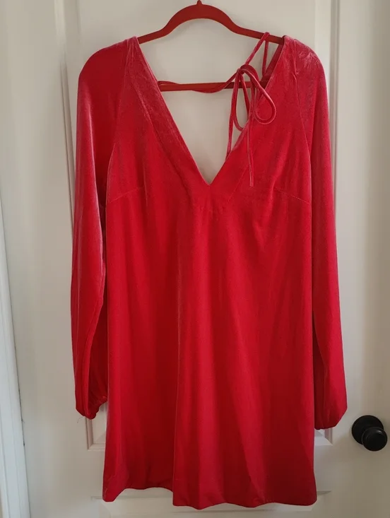 Free People pink Velvet Dress NWT