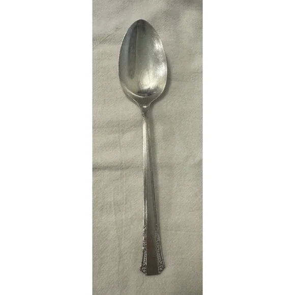 1881 Rogers serving Spoon Silver Plated Silverplate Floral Handle Single Piece,