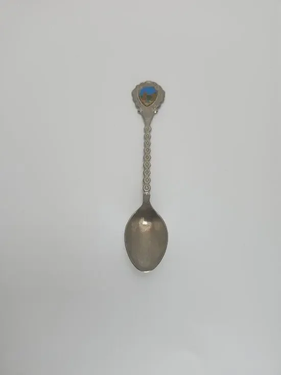 Wisconsin Dells Enamel Souvenir Collector Spoon Vtg Braided Handle Travel Gift