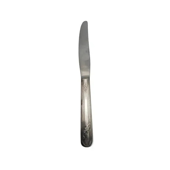 Vtg Tudor Oneida Queen Bess II Stainless Dinner Knife 9in 1946 Floral Pat Design
