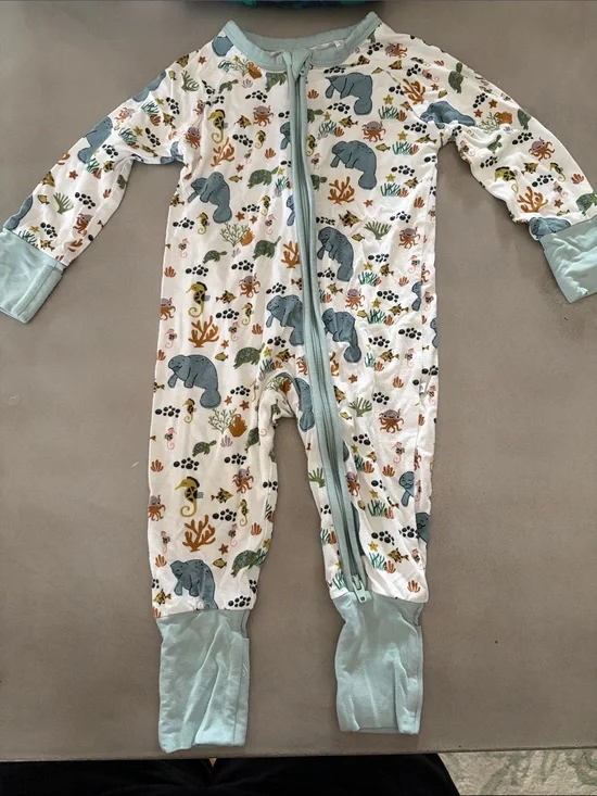 Unbranded Light Blue Trim Kids Footed Pajamas with Ocean Animal Print