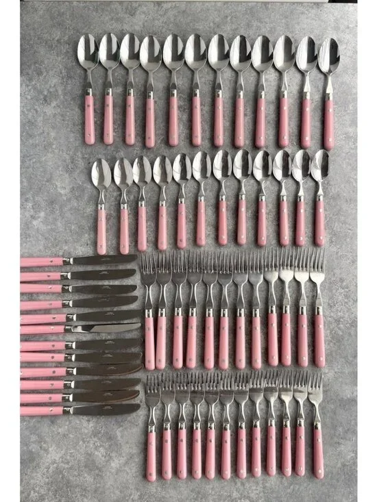 Carnival Stainless Flatware Korea Pink Handle Service For 12 Set Of 60 Pieces