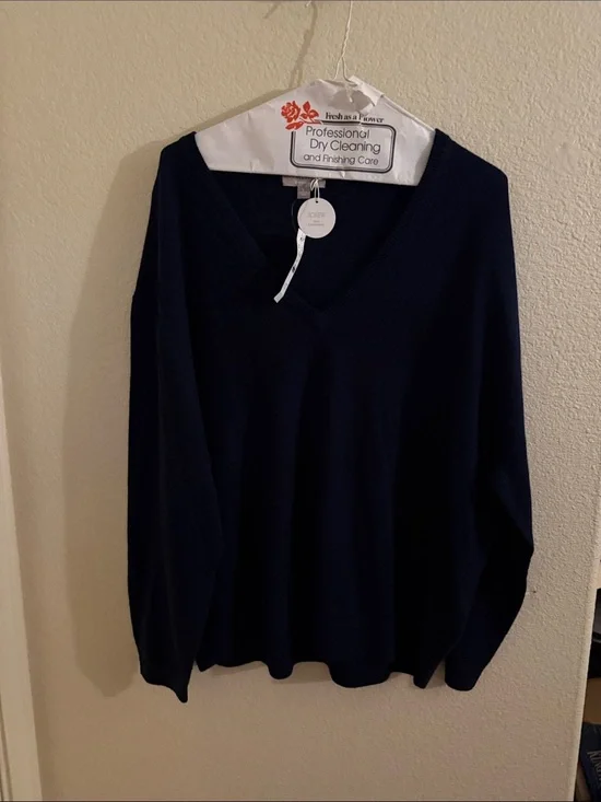 J. Crew V-Neck Sweater in Navy Blue