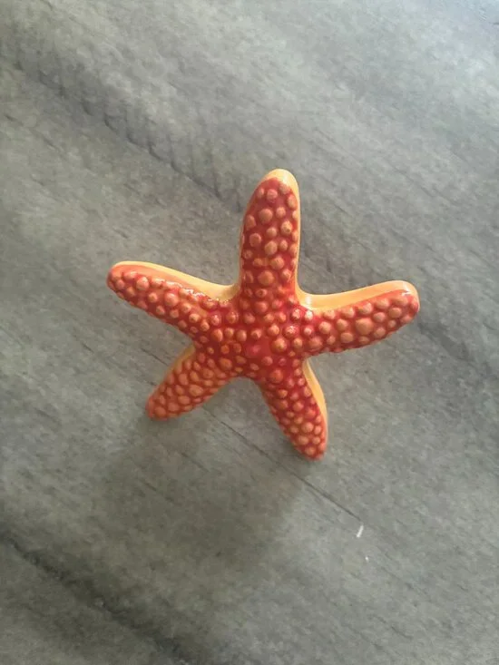 Nora Fleming mini retired starfish EUC