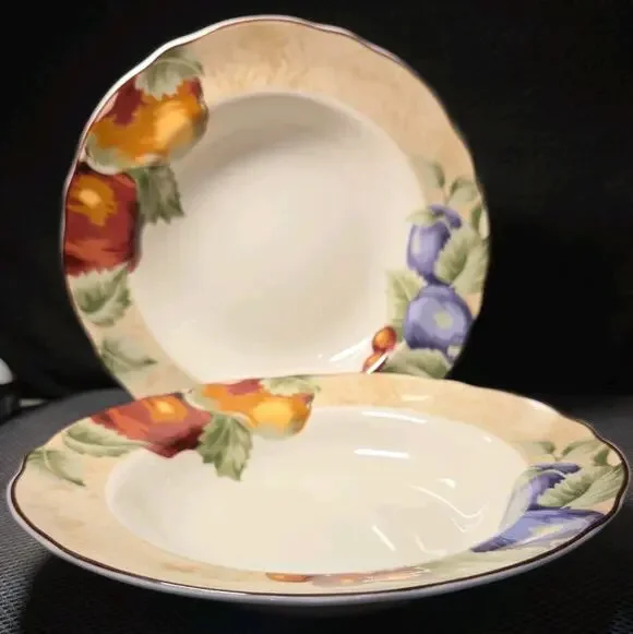 Set Of 2 Napa Valley By Noble Excellence 9 Inch Bowls