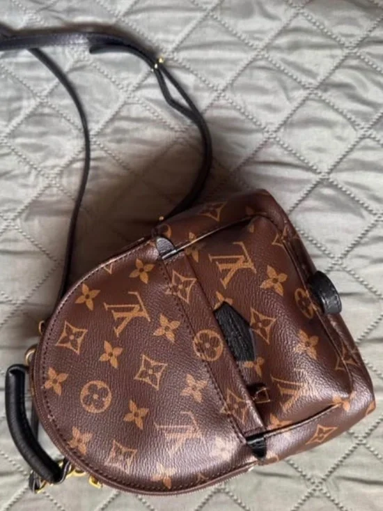 Louis Vuitton palm spring mini backpack