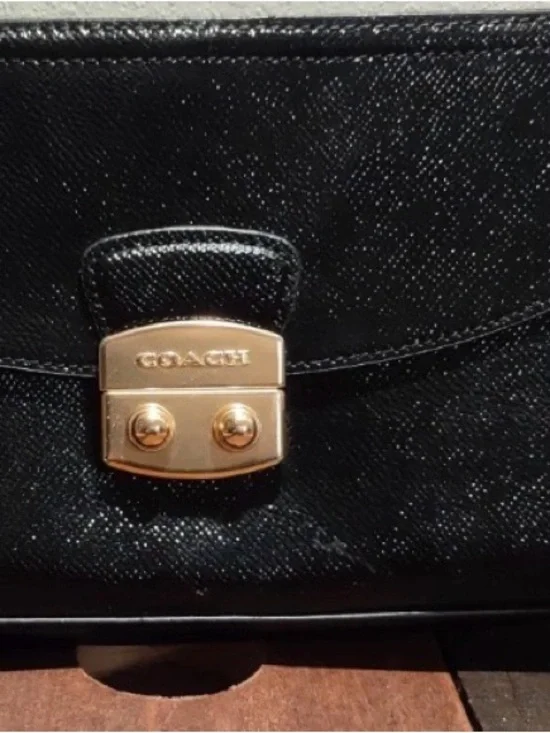 Coach Black Leather Clutch with Gold-Tone Push Lock