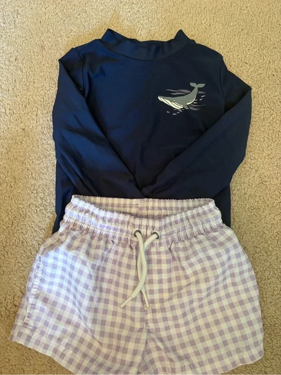 Carter's Navy Rash Guard Top with Lilac Gingham Swim Trunks