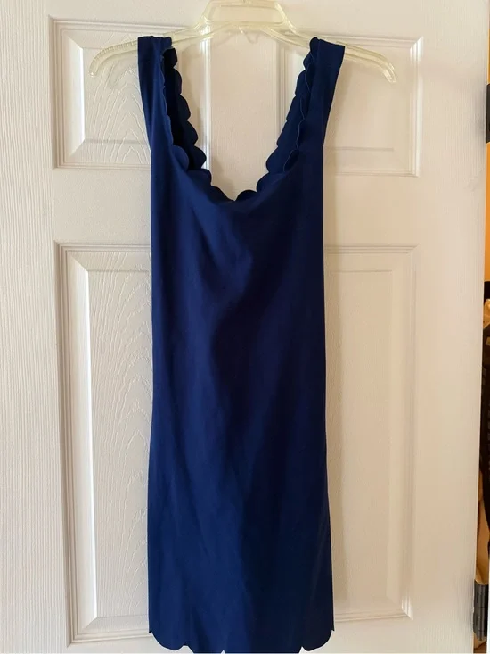 J. Crew Navy Scalloped Active Dress