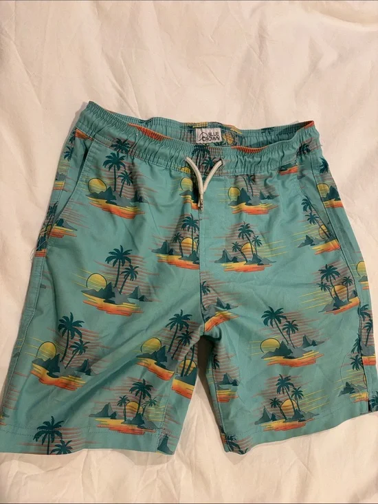Teal Palm-Print Boys Swim Shorts