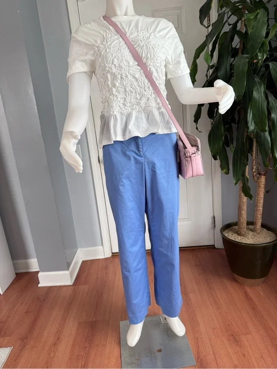 J. Crew Light Blue Cotton Straight-Leg Pants for Women