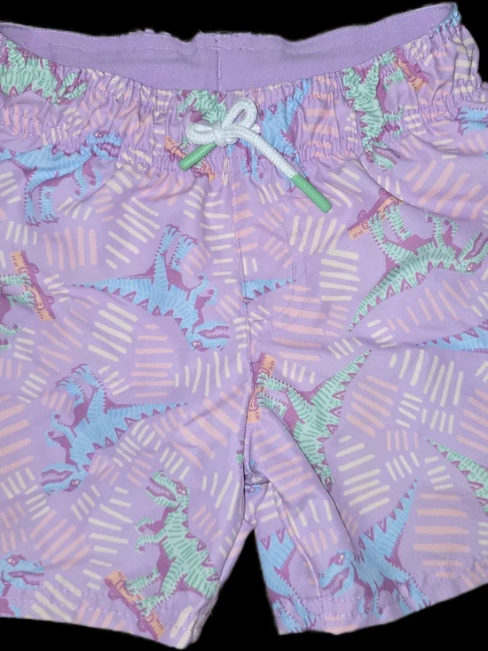 Cat & Jack Dinosaur Swim Trunks