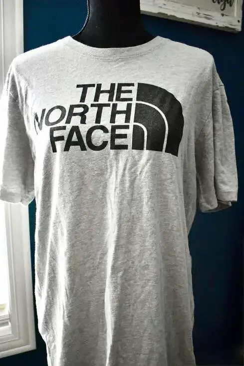 The North Face Men's Half Dome Logo Gray Short Sleeve T-Shirt