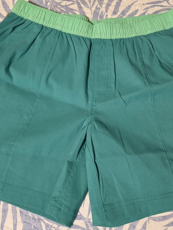 NWT! The North Face Class V Pullok Shorts Size Medium