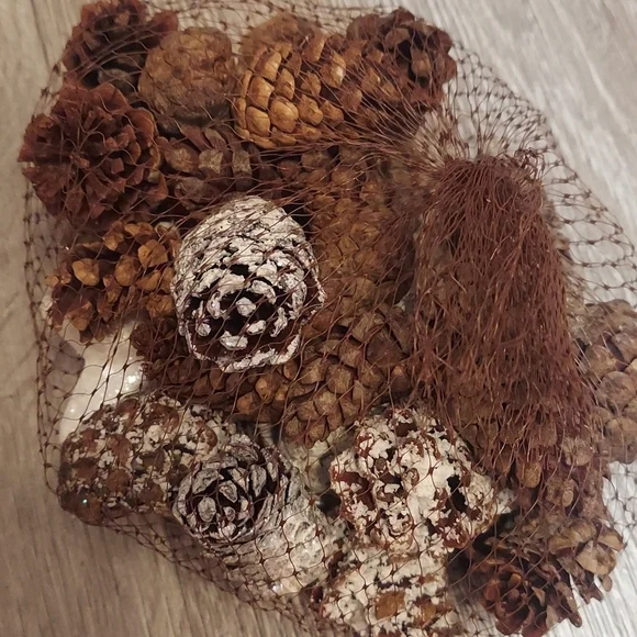 Cinnamon scented mini pinecones 1 dry quart.