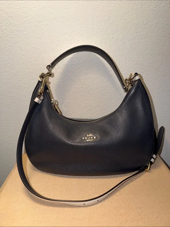 Coach Colorblock East/West Harley Hobo Handbag
