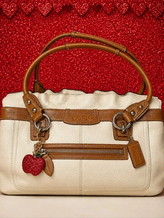 Vintage Coach Penelope Satchel Bag