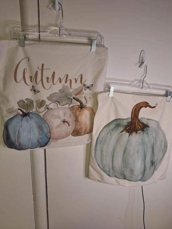 Autumn Blue & Cream Pumpkin Holiday Pillow Covers . Set Of Two.