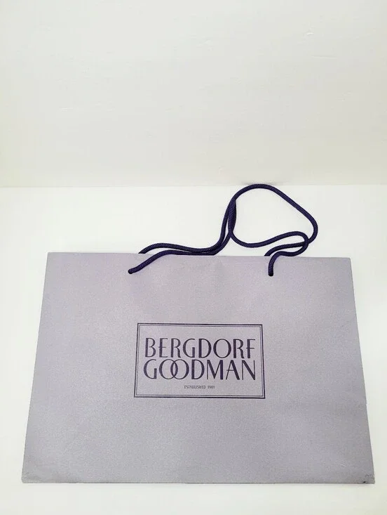 Authentic New Bergdorf Goodman Shopping Gift Bag rope handle 9 x 7.75 x 4.5