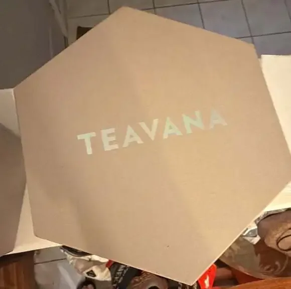 Teavana Steep It Simple Gift Set 30 Full-Leaf Tea Sachets