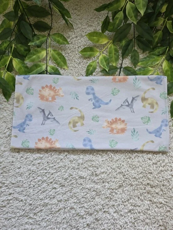 Baby Boy Dinosaur Swaddle