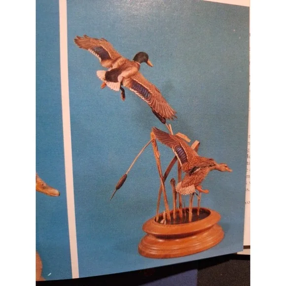Championship Carving, Hardcover by Veasey, Tricia; Johnson, Tom, Like New‎
