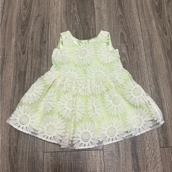 Children’s Place Girls Green Lil Daisy Lace  Dress SZ 12-18 Months