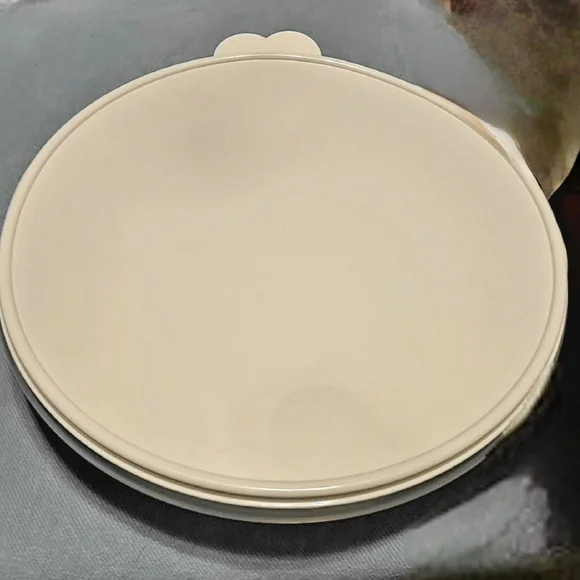 Tupperware Large Round Container Klien Blue