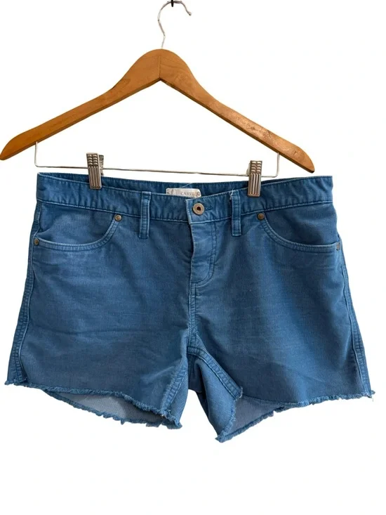 CARVE DESIGNS Oahu Shorts 4
