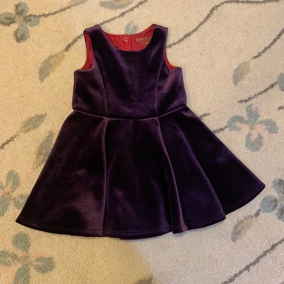 Girls Velvet Fit-and-Flare Dress in Deep Purple