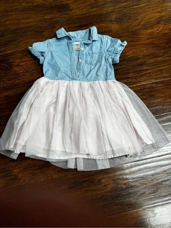 OshKosh B'gosh Light Blue Chambray Top with Pale Pink Tulle Skirt