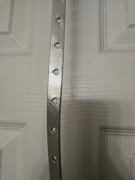 OshKosh B'gosh Metallic Silver Kids Belt