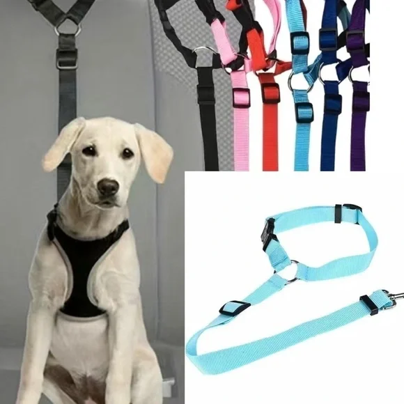 New Dog Safety Strap For Car / Truck / Auto Sky Blue