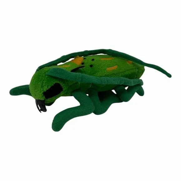 Beetle‎ Insects 5