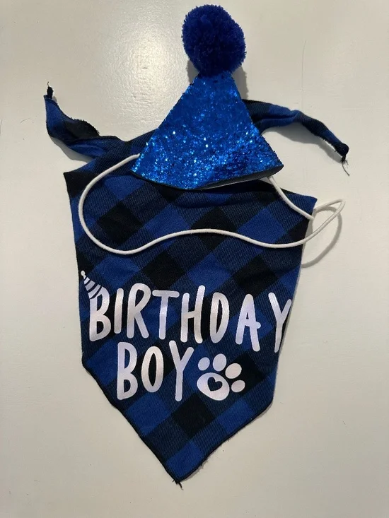 Dog Birthday Boy Bandana & Party Hat