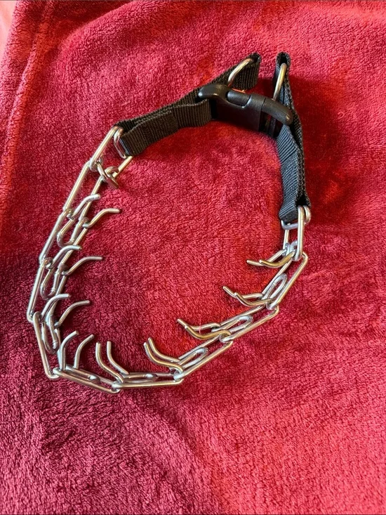 Metal Prong Training Collar with Black Nylon Strap