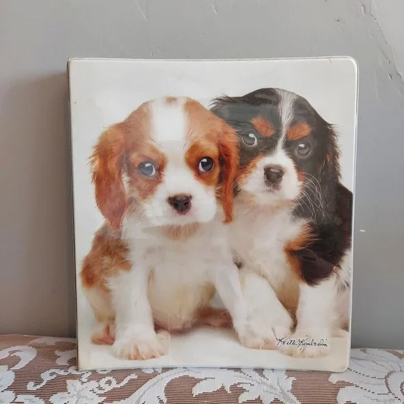 Class Act Keith Kimberlin Cavalier King Charles Spaniel Puppy 1